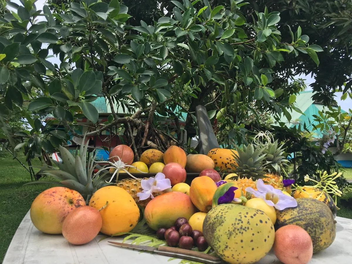 *** Guest house Manomano Lodge Papara French Polynesia